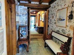 Cotommatae Hydra 1810