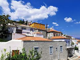 Cotommatae Hydra 1810