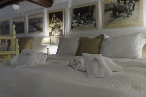 Cotommatae Hydra 1810