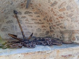 Cotommatae Hydra 1810