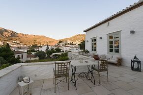 Cotommatae Hydra 1810