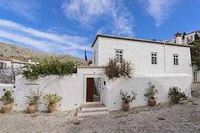 Cotommatae Hydra 1810