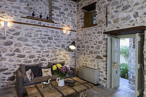 Cotommatae Hydra 1810