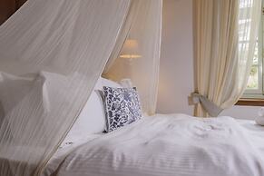 Cotommatae Hydra 1810