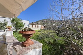 Cotommatae Hydra 1810