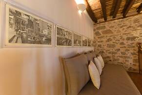 Cotommatae Hydra 1810