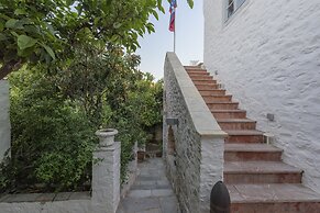 Cotommatae Hydra 1810