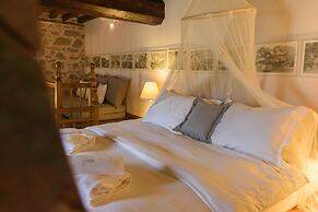 Cotommatae Hydra 1810