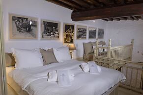 Cotommatae Hydra 1810