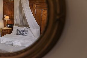 Cotommatae Hydra 1810