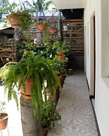 Hostal San Jose - Hostel