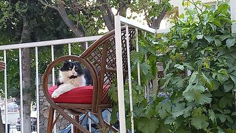 Mediterranean Apart Hotel