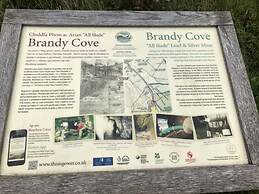 Stunning Beach Front Apartment in Caswell Swansea