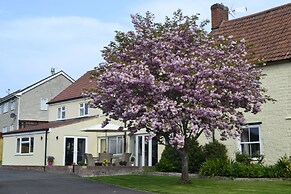 The Lawns Tea Room and B&B
