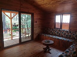 Olympos Tanrılar Kulübü