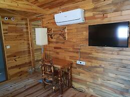 Olympos Tanrılar Kulübü