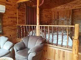 Olympos Tanrılar Kulübü