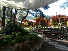 Olympos Tanrılar Kulübü