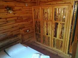 Olympos Tanrılar Kulübü