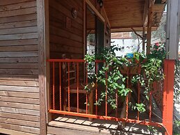 Olympos Tanrılar Kulübü