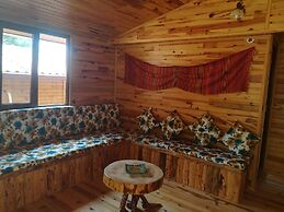 Olympos Tanrılar Kulübü