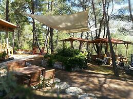 Olympos Tanrılar Kulübü