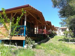 Olympos Tanrılar Kulübü