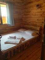 Olympos Tanrılar Kulübü