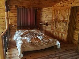 Olympos Tanrılar Kulübü