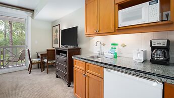 Lasata 3207 Flr2 Studio 4