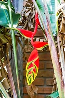 Residencial Bahia do Sonho