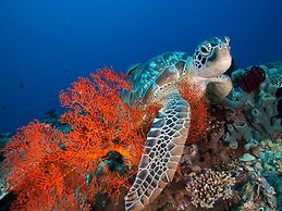 Aquamarine Beach Villas