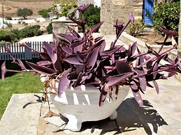 Elena Studios and Apartments