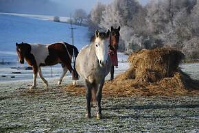 Beautiful 3 Bedroomed Cotswolds Farmhouse