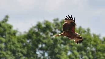 Beautiful 3 Bedroomed Cotswolds Farmhouse