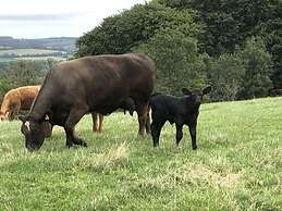 Beautiful 3 Bedroomed Cotswolds Farmhouse