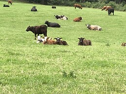 Beautiful 3 Bedroomed Cotswolds Farmhouse