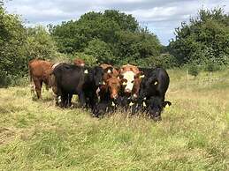 Beautiful 3 Bedroomed Cotswolds Farmhouse