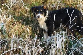 Beautiful 3 Bedroomed Cotswolds Farmhouse