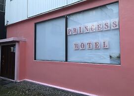 Sapporo Princess Hotel - Hostel