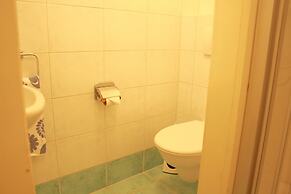 Mountain View & Spacious - Flaminia C