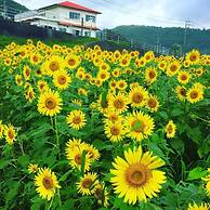 Guesthouse & Beach Cafe Fuego, Hostel