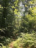 Cosy Woodland off Grid Shepherds Hut - Hazel