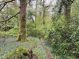 Cosy Woodland off Grid Shepherds Hut - Hazel