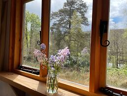 Cosy Woodland off Grid Shepherds Hut - Hazel