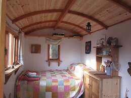 Cosy Woodland off Grid Shepherds Hut - Hazel