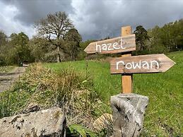 Cosy Woodland off Grid Shepherds Hut - Hazel
