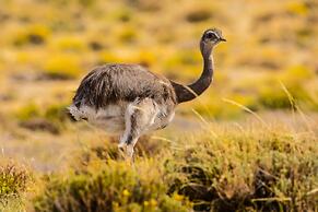 La Posta de los Toldos