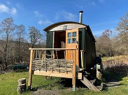 Cosy Woodland off Grid Shepherds Hut - Rowan