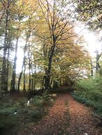 Cosy Woodland off Grid Shepherds Hut - Rowan